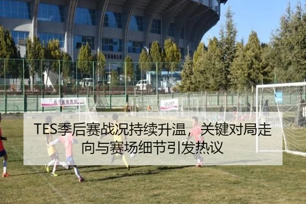 TES季后赛战况持续升温，关键对局走向与赛场细节引发热议